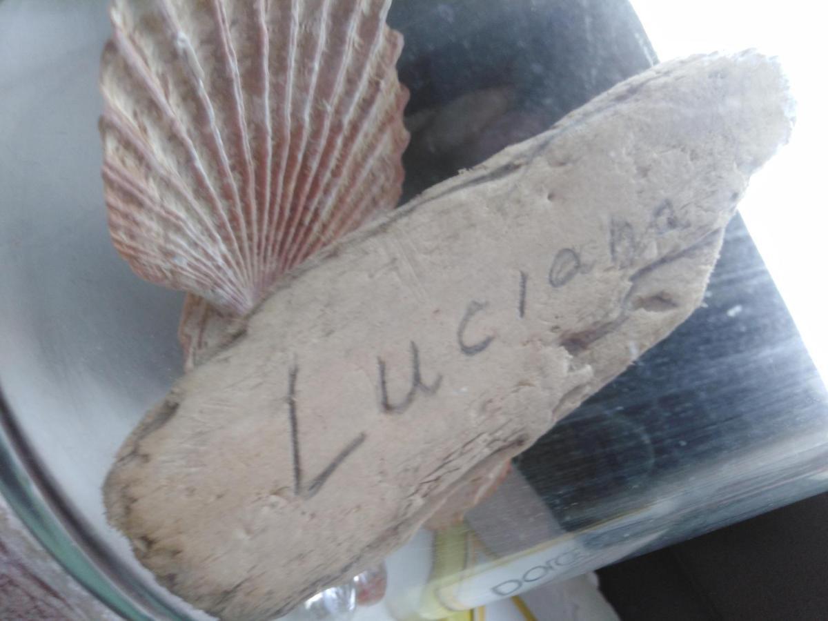 شقة Luciana زادار المظهر الخارجي الصورة